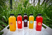 Sea Moss Lemonades Bundle 5 Pack